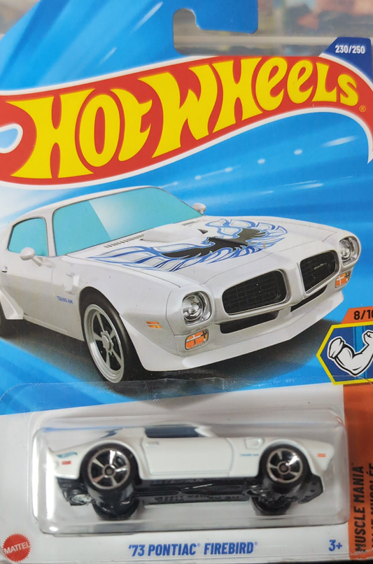 Hot Wheels 73 PONTIAC FIREBIRD and Formula E GEN 3